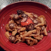 シャングリラズシークレット 北新地店 - 