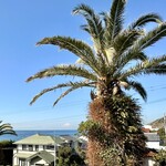 野菜料理とスープカレーのお店 南葉亭 - 