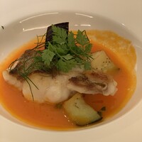 SCALAE - 