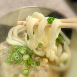 讃岐うどん がもう - モチモチです