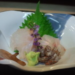 辻政 - 2013/6 キジハタ食べ比べ