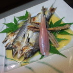 辻政 - 2013/7　一夜干し（鮎）