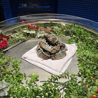 筑紫樓 銀座店 - 