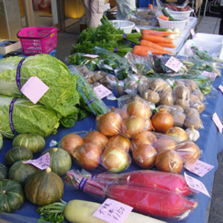 なるべく農薬を使用しない、自然農法の野菜にこだわっております