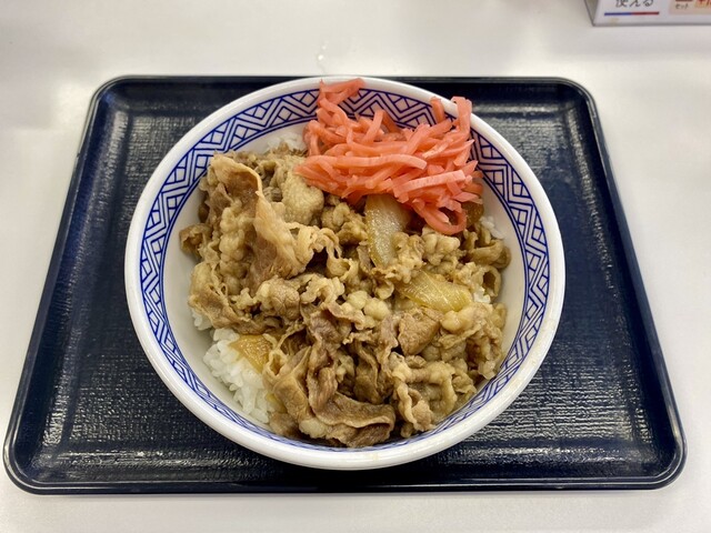 Yoshinoya Odori Nishi 10 Chome Ten - Nishi Juitchome/Gyu-don (Beef