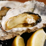 メリプリンチペッサ - 