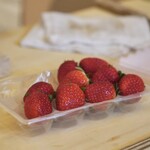 ペレグリーノ - 