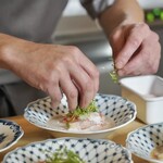 ペレグリーノ - 