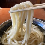 讃歌うどん はんげしょう - はんげしょうセットC（麺リフト）