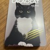 CACAOCAT 札幌南郷通店