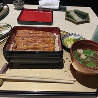 うなぎ 目白ぞろ芽 - 