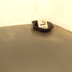 モール&ホソイコーヒーズ - 