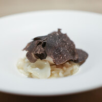 Itsuki - ２０２４年１月再訪：三河湾 虎河豚白子　北海道 月光百合根　イタリア 黒トリュフ☆