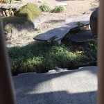 さじこよみ - ハクセキレイ