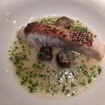 蒼 - さかな人長谷川さんより 神経〆白甘鯛 本日の仕立て