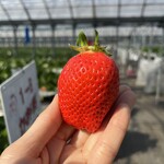 姫路ハートフル観光農園 - 