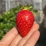 姫路ハートフル観光農園 - 