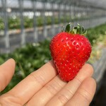 姫路ハートフル観光農園 - 