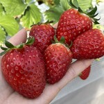 姫路ハートフル観光農園 - 