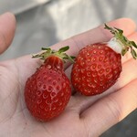 姫路ハートフル観光農園 - 