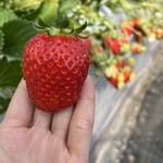 姫路ハートフル観光農園 - 