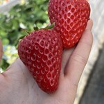 姫路ハートフル観光農園 - 