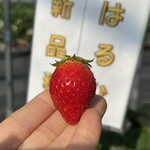 姫路ハートフル観光農園 - 