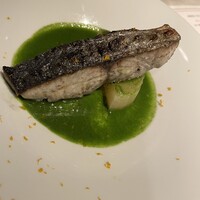 カーサ M - 