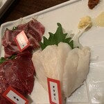 サクラ 馬ール - 