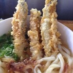 讃州手打ちうどん 我龍 - どでかい、ししゃも天が3本‼︎