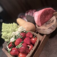 オッジ ダルマット 西麻布店 - 