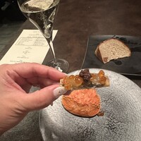 オッジ ダルマット 西麻布店 - 