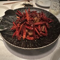 CINA New Modern Chinese - 