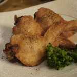 海で魚を食べる鳥 - 