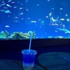 かりゆし水族館 カフェ
