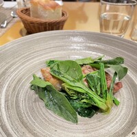 ヤマガタ サンダンデロ - 