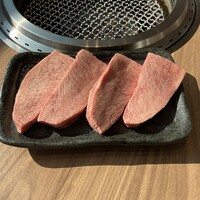 生タントロ