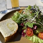 アマルフィイ デラセーラ - 