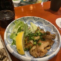魚竹 - 