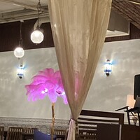 Robin Club 表参道 -  Robin Club 表参道 -