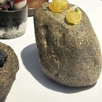 ラ・ヴァガボンド - 文旦