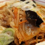 蒙古タンメン中本 - 野菜アップ