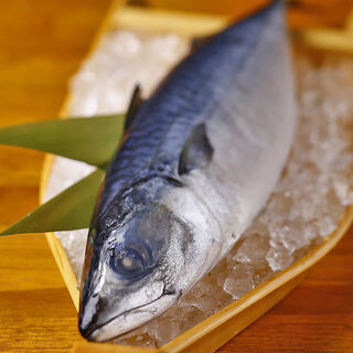 厳選したエリート『とろさば』を使用