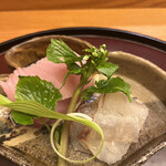 日本料理 太月 - 量少なめコース２３１００円。コシナガマグロ、ヒラメ昆布〆。初体験のコシナガマグロは、旨味たっぷりです。ヒラメは締まりすぎに感じますが、これはこれで良かったです。