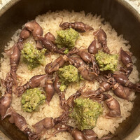 日本料理 太月 - 量少なめコース２３１００円。蛍烏賊と蕗の薹 土鍋ご飯。それほど珍しい食材でもないのに、材料、技、組み合わせの妙ですね。大好物です！