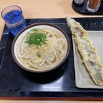 さか枝うどん 南新町店 - かけ小、アナゴ天