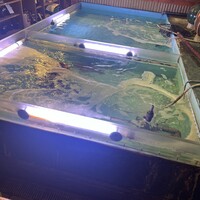 いけす無門 新宿 - 