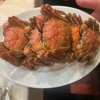 潮夢来 - 