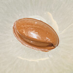 シンスケヤマモト - 