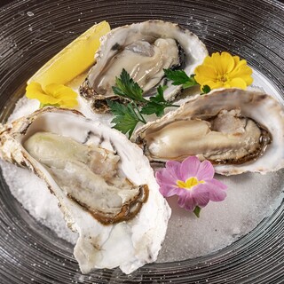 Super fresh raw Oyster and Seafood that can only be provided directly by Sakanaya★